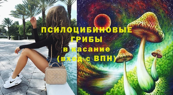 винт Верея