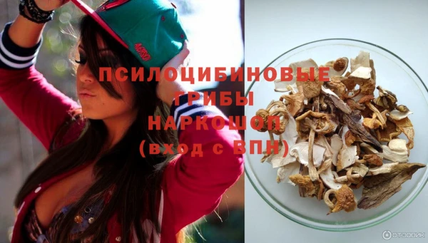 винт Верея
